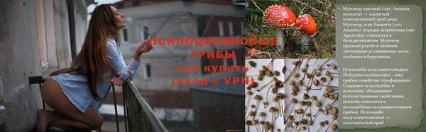 ALPHA PVP Беломорск