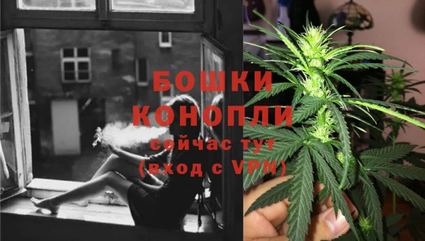 ALPHA PVP Беломорск